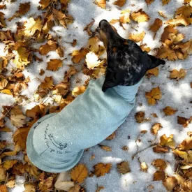 Dachshund Christmas Velour Jumper