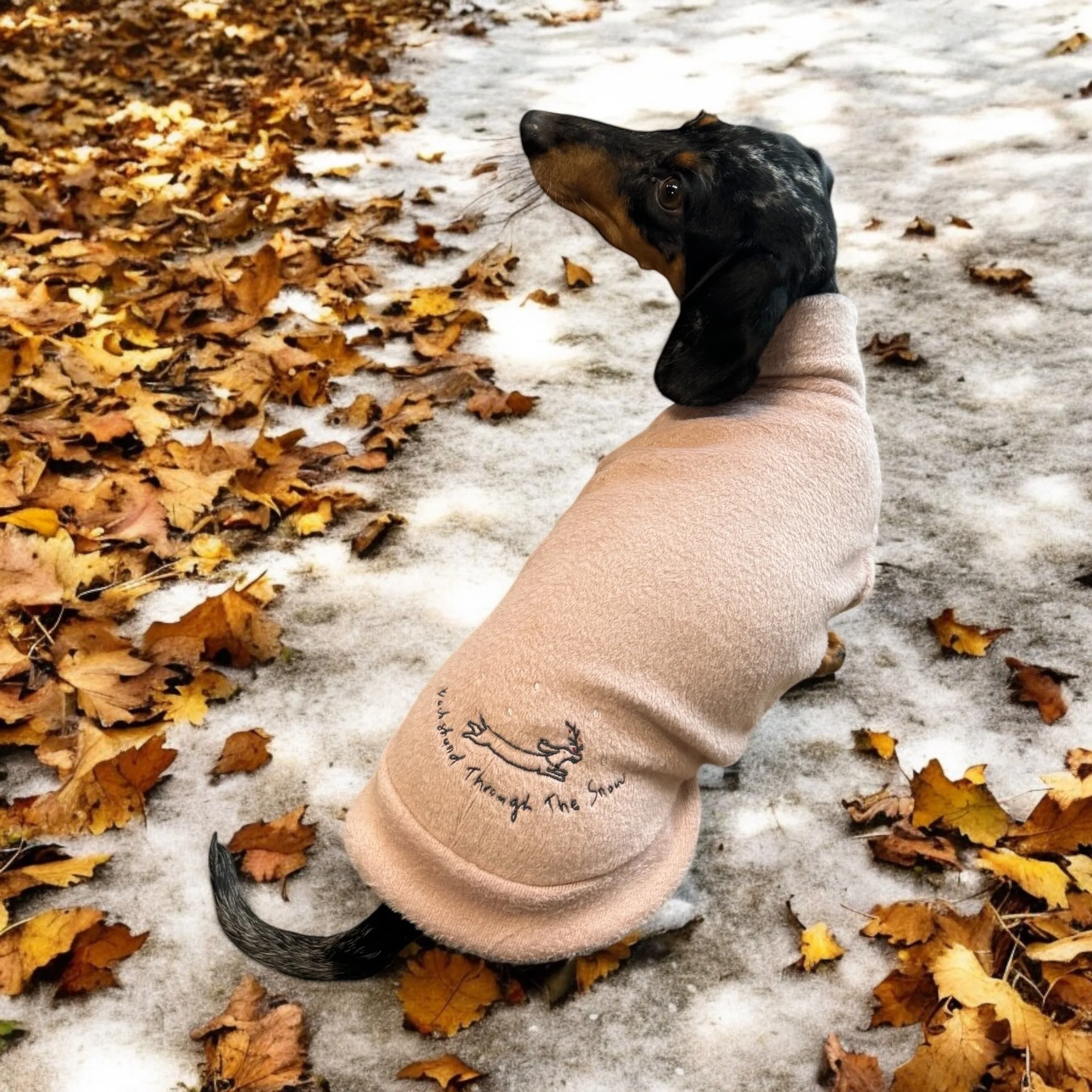 Dachshund Christmas Velour Jumper