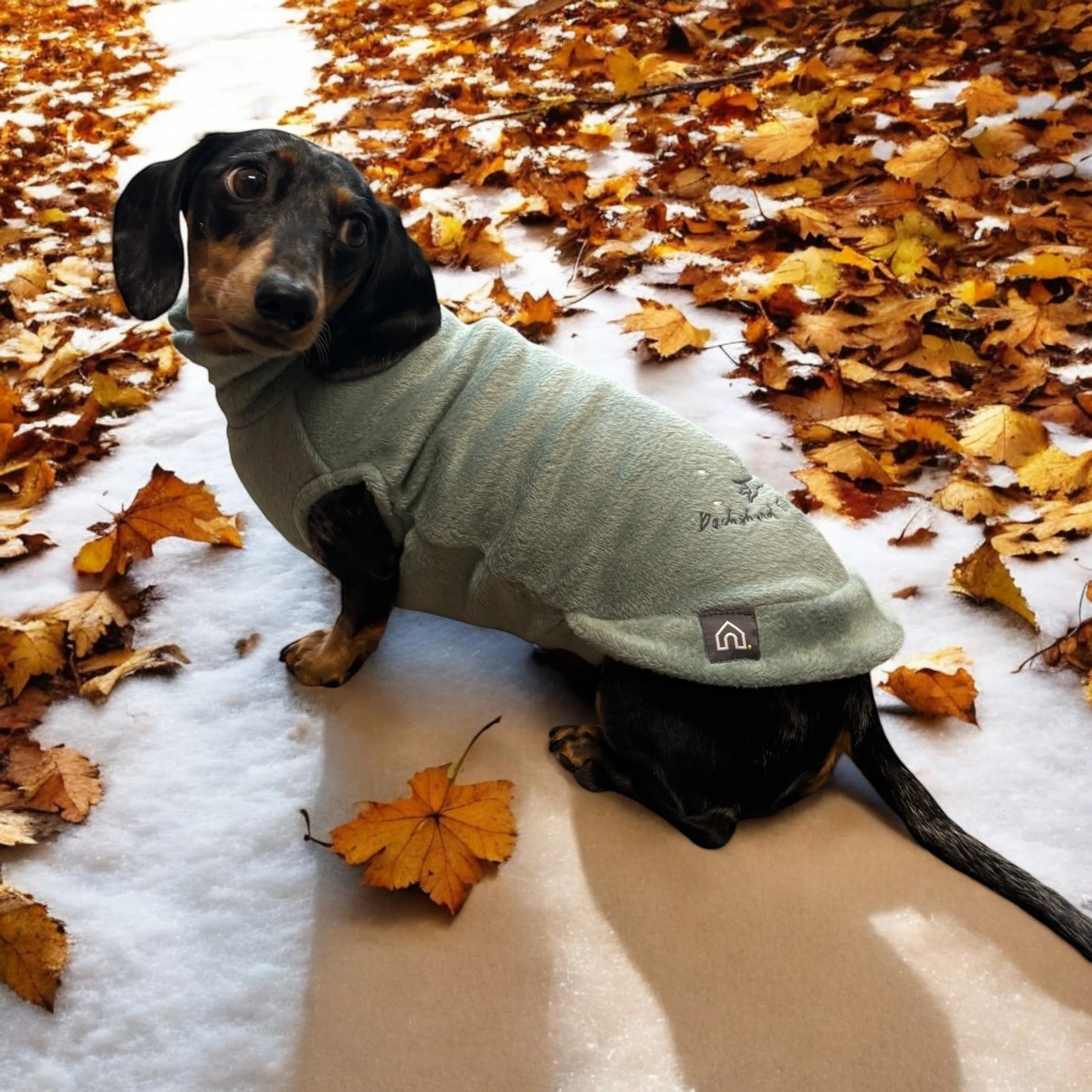 Dachshund Christmas Velour Jumper