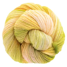 Dream in Color Riley Yarn - Guava Nice Day 759