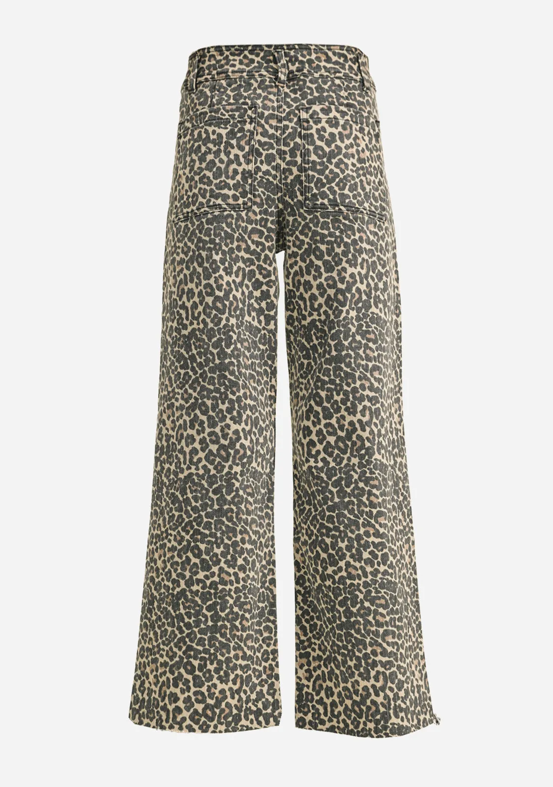 Leopard Print Pants Leopard