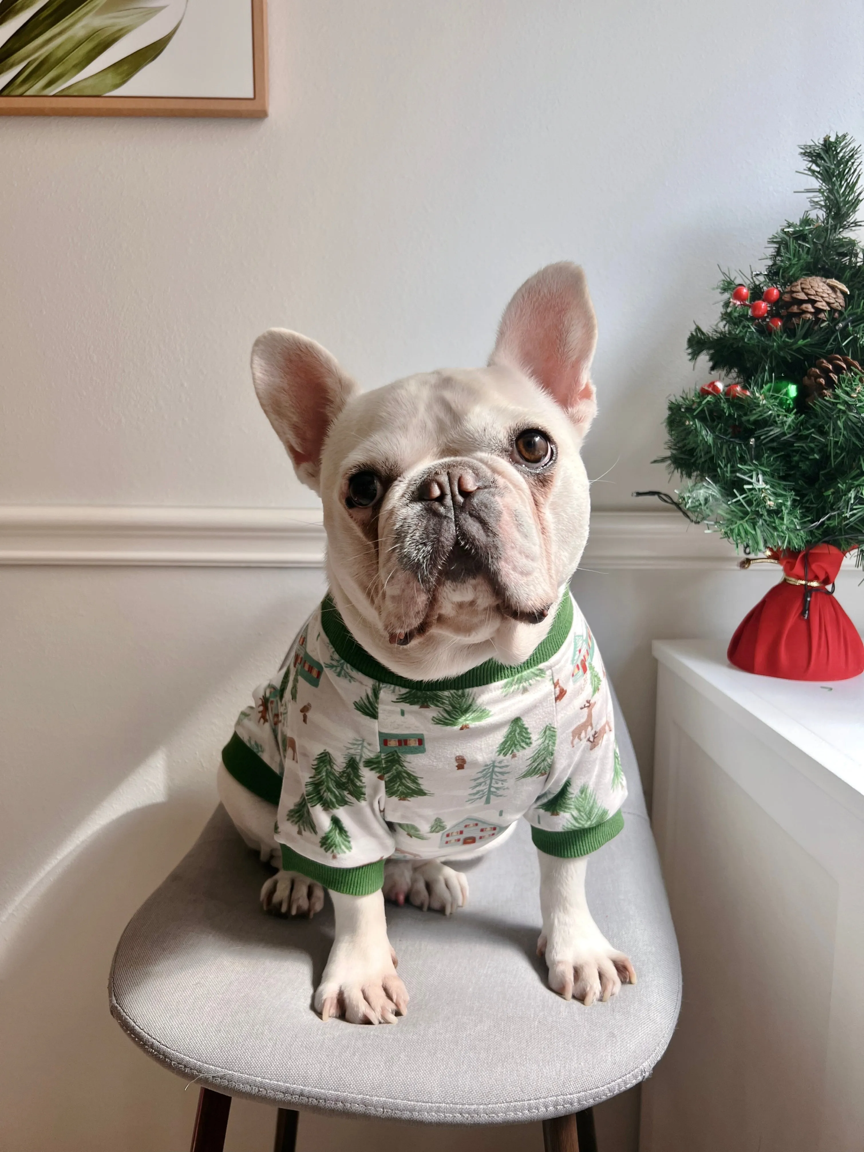 Winter Wonderland Snow Mountain Owner and Pet Matching Sweater